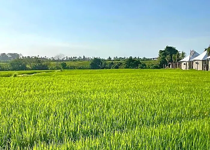 别墅 Bali Villas